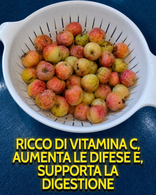 uva spina, agresto, frutto dimenticato, benefici uva spina, vitamina C, antiossidanti naturali, migliorare digestione, stitichezza rimedi, difese immunitarie, sistema immunitario, fibre alimentari, prebiotici, salute intestinale, frutti di bosco, ribes verde, confettura di uva spina, ricette con uva spina, alimentazione sana, rimedi della nonna, frutta di stagione, benessere digestivo, prevenzione malattie, stile di vita sano, integratori naturali, collagene naturale, salute della pelle, controllo glicemia, cromo, pectina, cucina naturale
