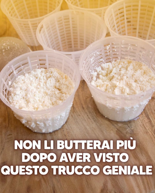 riciclare cestini della ricotta, riciclo creativo, idee anti spreco, riciclo plastica, cestini ricotta usi, germogliatore fai da te, mini vaso per talee, organizer da cassetto, porta spezie fai da te, porta confetti, lanterna traforata, formina per dolci, riciclo creativo bambini, lavoretti con plastica, idee per la casa, organizzazione casa, sostenibilità ambientale, riduzione sprechi, riciclo domestico, fai da te, riciclo creativo facile, idee regalo fai da te, decorazioni fai da te, riciclo plastica creativo, cestini ricotta riciclati, riuso creativo, economia circolare, ecologia domestica, cucina sostenibile