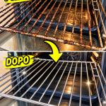 griglia del forno incrostata, come pulire la griglia del forno, pulizia del forno, ammoniaca per pulire, trucco ammoniaca, pulizia griglia forno, rimedi naturali per la cucina, pulizie di casa, faccende domestiche, rimedi della nonna, come pulire il forno, pulizia forno incrostato, grasso bruciato, incrostazioni forno, pulizia con ammoniaca, sacchetto per pulizia, bicarbonato e aceto, acido citrico, lavastoviglie, detersivo per piatti, spugna non abrasiva, panno in microfibra, pulizie ecologiche, prodotti naturali per la casa, sostenibilità in casa, fai da te, pulizie economiche, casa pulita senza prodotti chimici, manutenzione della casa, cucina pulita