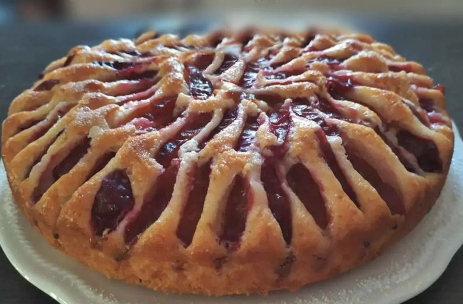 torta con le prugne, torta di prugne, ricetta torta con le prugne, dolce con le prugne, torta di prugne fresche, torta con le prugne e noci, torta con le prugne e mandorle, torta con le prugne e cioccolato, torta con le prugne e ricotta, torta con le prugne e cannella, torta con le prugne e zenzero, torta con le prugne e frutta secca, torta con le prugne senza glutine, torta con le prugne vegana, torta con le prugne salata, colazione fatta in casa, merenda fatta in casa, buffet di dolci, dolci fatti in casa, pasticceria fatta in casa, ricette della nonna, cucina italiana, farina 00, zucchero semolato, burro, uova, latte intero, lievito per dolci, prugne fresche, prugne Stanley, prugne Regina Claudia, susine, scorza di limone, estratto di vaniglia, cannella in polvere, sale, zucchero di canna, zucchero a velo, come fare la torta con le prugne, cottura torta con le prugne, stampo 22-24 cm, conservazione torta con le prugne, torta in frigorifero, torta in freezer, abbinamento gelato, abbinamento panna montata, abbinamento caramello salato, abbinamento vino dolce, Moscato d'Asti, Passito