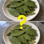 alloro benefici, foglie di alloro, alloro pressione alta, alloro colesterolo, alloro glicemia, alloro insonnia, tisana di alloro, infuso di alloro, rimedi naturali per la pressione, rimedi naturali per il colesterolo, rimedi naturali per dormire, laurus nobilis, antiossidanti naturali, antinfiammatorio naturale, proprietà alloro, come usare l'alloro, dosi alloro, alloro controindicazioni, rimedi della nonna, cucina naturale, benessere cardiovascolare, regolazione glicemia, sonno naturale, erbe medicinali, fitoterapia, spezie benefiche, salute e benessere, stile di vita sano, prevenzione malattie, tisane benefiche