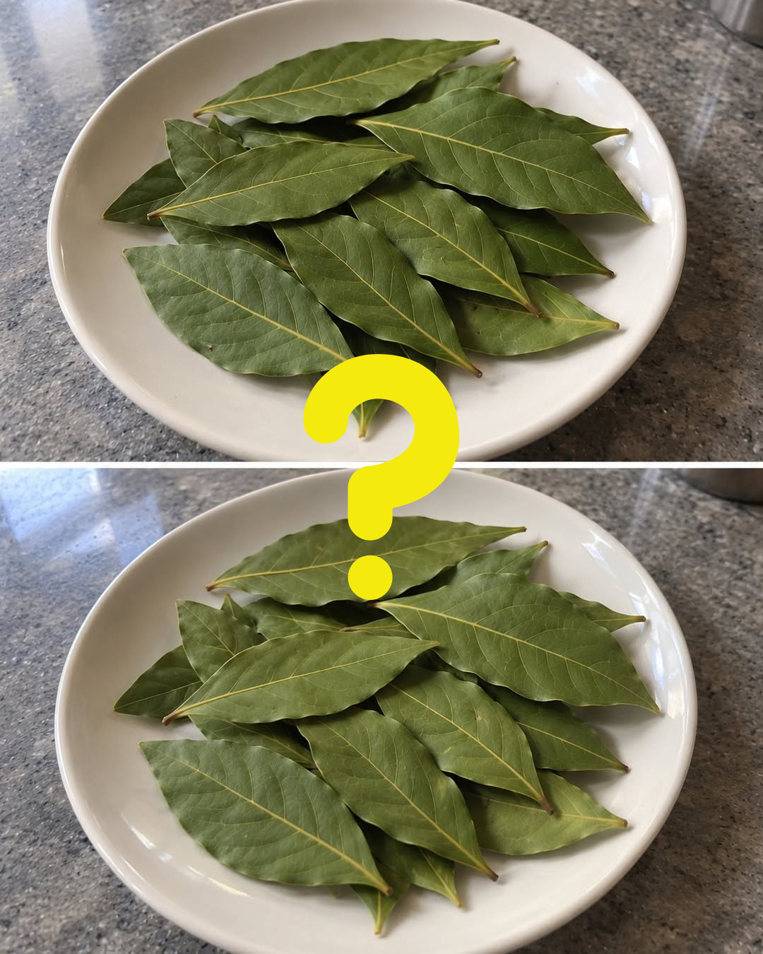 alloro benefici, foglie di alloro, alloro pressione alta, alloro colesterolo, alloro glicemia, alloro insonnia, tisana di alloro, infuso di alloro, rimedi naturali per la pressione, rimedi naturali per il colesterolo, rimedi naturali per dormire, laurus nobilis, antiossidanti naturali, antinfiammatorio naturale, proprietà alloro, come usare l'alloro, dosi alloro, alloro controindicazioni, rimedi della nonna, cucina naturale, benessere cardiovascolare, regolazione glicemia, sonno naturale, erbe medicinali, fitoterapia, spezie benefiche, salute e benessere, stile di vita sano, prevenzione malattie, tisane benefiche