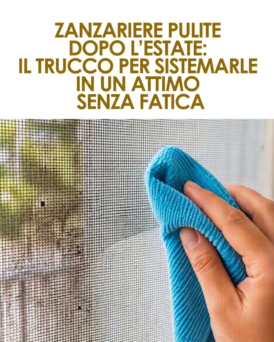 zanzariere pulite, pulire zanzariere, manutenzione zanzariere, zanzariere dopo l'estate, come pulire le zanzariere, trucchi per zanzariere, zanzariere senza fatica, pulizia zanzariere, rimedi naturali per zanzariere, aceto per zanzariere, sapone di marsiglia, bicarbonato per zanzariere, lubrificare binari zanzariere, manutenzione casa, pulizie di casa, faccende domestiche, rimedi della nonna, pulizie ecologiche, prodotti naturali per la casa, conservazione zanzariere, sostituire rete zanzariere, kit riparazione zanzariere, zanzariere rimovibili, zanzariere fisse, pulizia stagionale, preparazione inverno, casa pulita, benessere in casa, sostenibilità in casa, pulizie fai da te