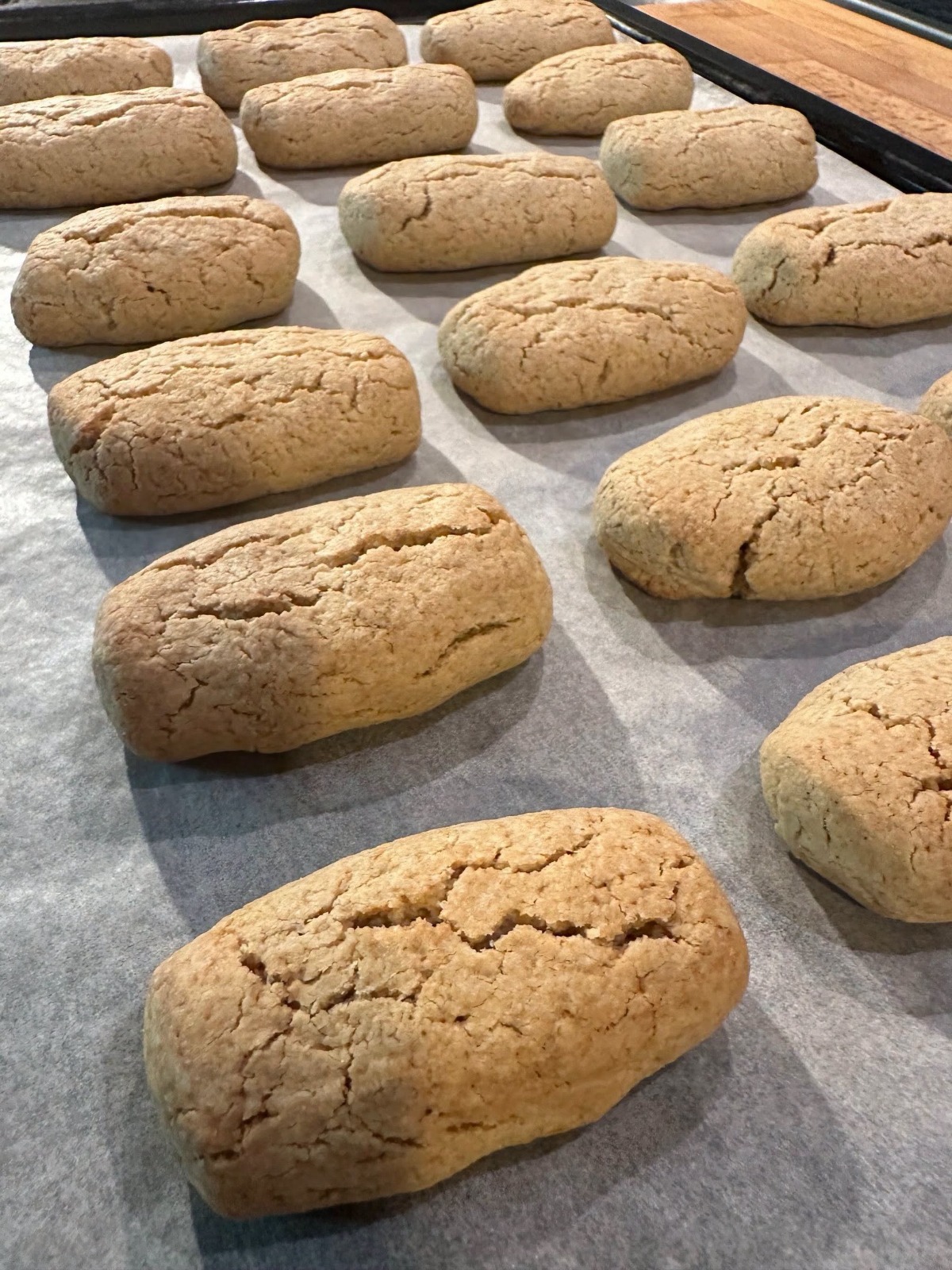 biscotti di avena, biscotti da inzuppo, biscotti di avena da inzuppo, ricetta biscotti di avena, biscotti rustici, biscotti fatti in casa, biscotti croccanti, biscotti da colazione, biscotti da merenda, biscotti di avena senza glutine, biscotti di avena vegani, biscotti di avena al cacao, biscotti di avena alle mandorle, biscotti di avena alle nocciole, biscotti di avena al limone, biscotti di avena all'arancia, biscotti di avena alla cannella, biscotti di avena con gocce di cioccolato, biscotti di avena con frutta secca, colazione fatta in casa, merenda fatta in casa, buffet di dolci, dolci fatti in casa, pasticceria fatta in casa, ricette della nonna, cucina italiana, farina d'avena integrale, zucchero semolato, latte intero, strutto, lievito per dolci, vanillina, come fare i biscotti di avena, cottura biscotti di avena, doppia cottura biscotti, salamini di impasto, biscottoni di avena, conservazione biscotti, biscotti per il latte, biscotti per il tè, biscotti per il caffè, biscotti per la cioccolata calda
